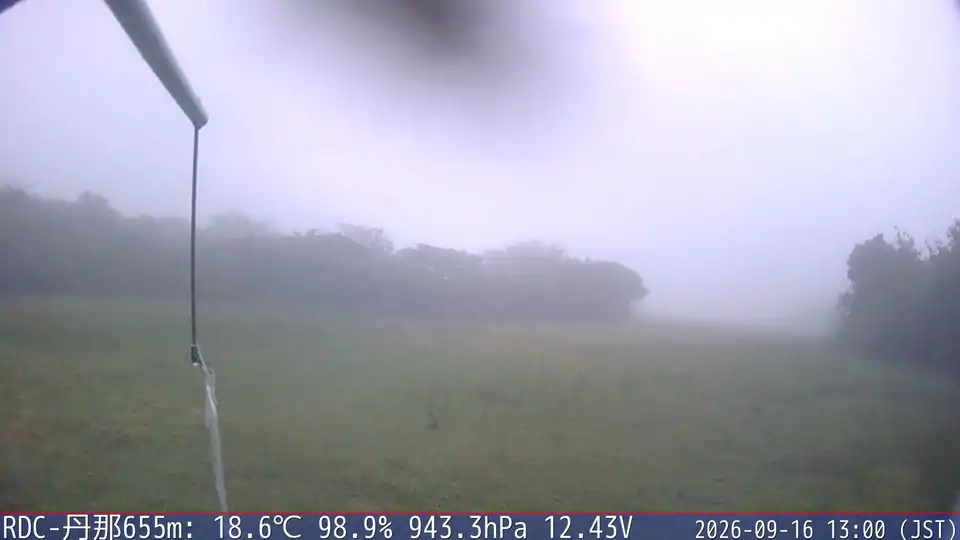 09/16 13:00