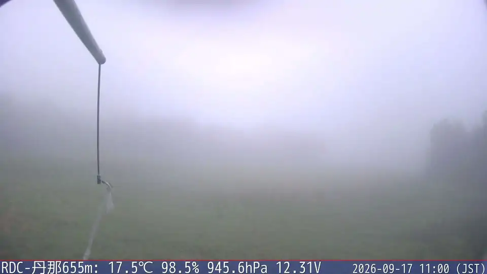 09/17 11:00