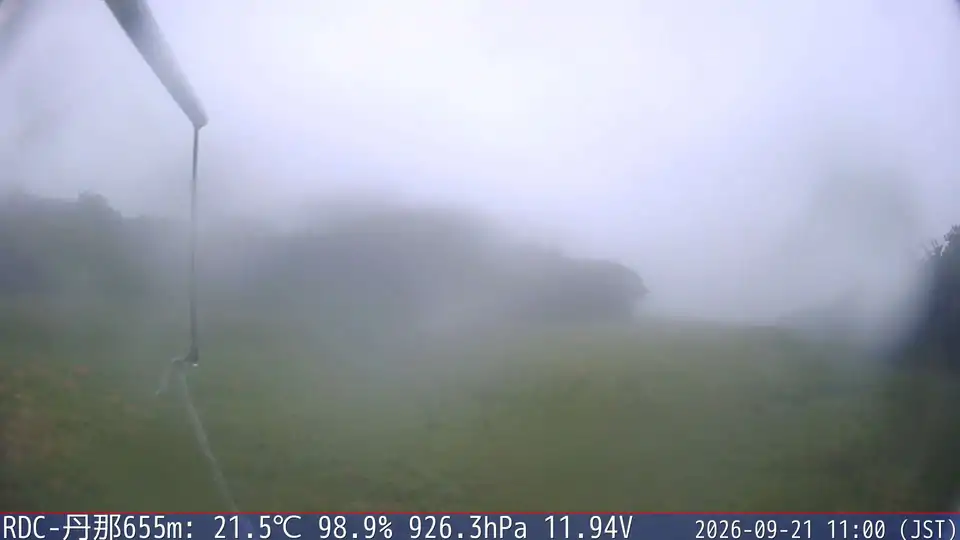 09/21 11:00
