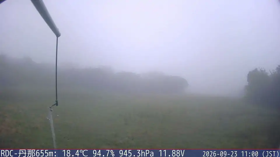 09/23 11:00