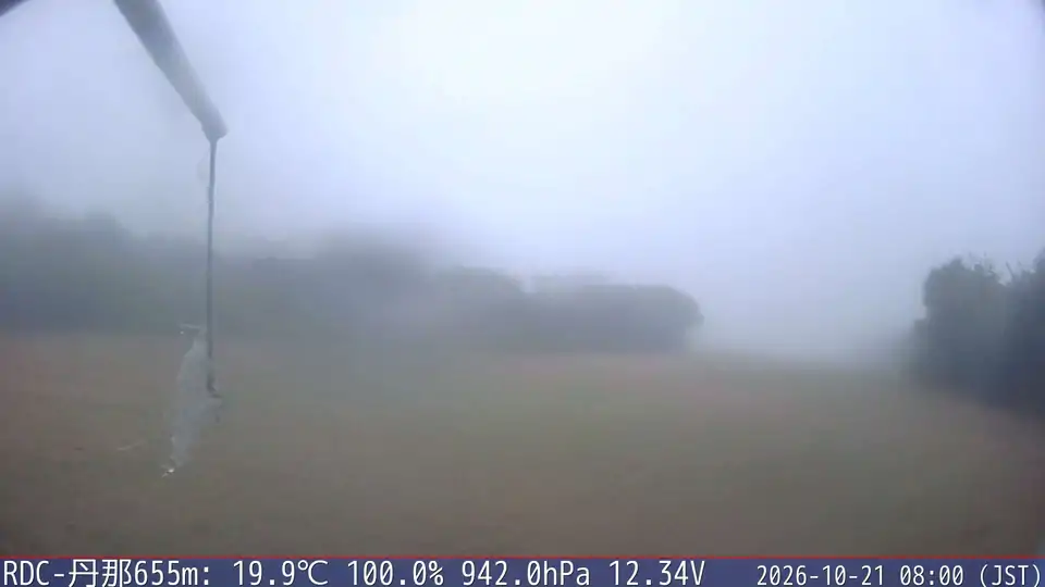 10/21 08:00